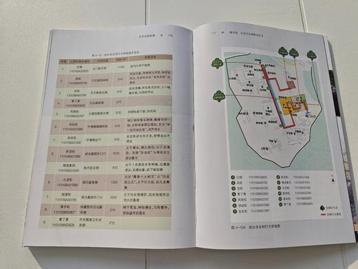 北京古树故事 &2863 中国林业出版社 图书 商品图2