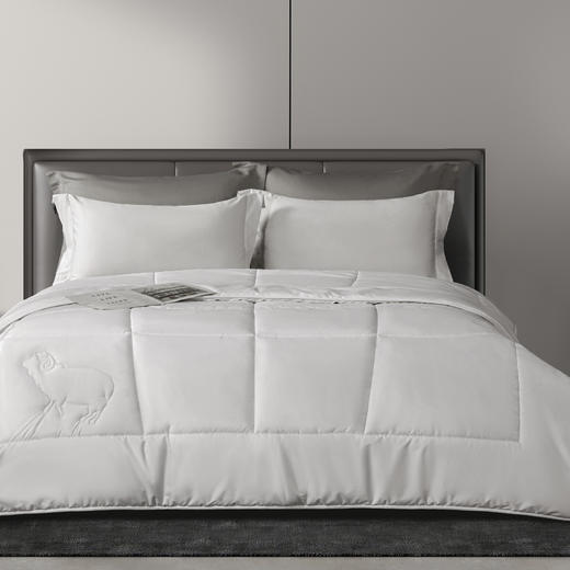 简色生活臻选抗菌羊毛被200*230cm【分仓直发，72小时发货，周末节假日不发货】 商品图2