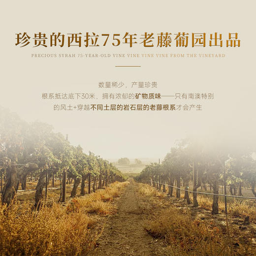 【满分酿酒师代表作】克斯顿·澳邑王西拉干红 首任澳大利亚驻华大使推荐 澳大利亚麦克拉伦谷 14.5%vol 商品图5