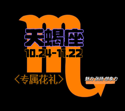 【天蝎座•专属花礼】*10.24-11.22.*
 ♏️〔魅影紫光〕&〔魅影骑士〕 商品图4