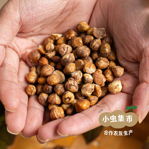 森林野生榛子仁 200g| 合作农友生产，源自大兴安岭原始森林，生产者：金鹏 ＆【公平贸易农人定价】 商品图2