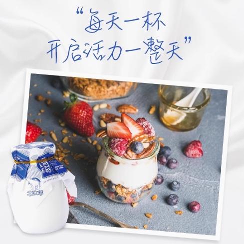 北冰洋制冰厂冰冰熊原味酸奶（罐）180g 商品图1