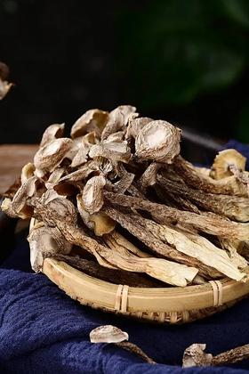 鹿茸菌怎么吃？