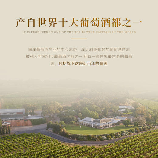 【满分酿酒师代表作】克斯顿·澳邑王西拉干红 首任澳大利亚驻华大使推荐 澳大利亚麦克拉伦谷 14.5%vol 商品图6