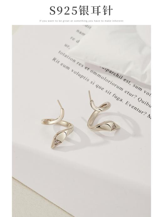 Oflye潮流饰品   欧美小众设计蛇形耳环女高级感冷淡风耳钉简约气质耳饰 商品图1