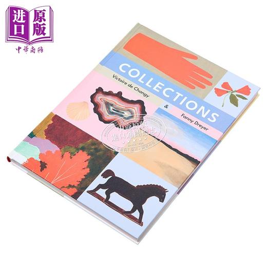 【中商原版】【法文版】法语绘本 小孩的宝藏收藏集 Fanny Dreyer绘 Collections 法文原版 Victoire de Changy 商品图1