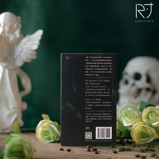 萨乌达德 2019年澳大利亚总理文学奖/2020年阿德莱德文学节奖入围作品 商品图3