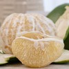 杞冠臻选 | 礼享柚·青柚 礼盒装 买5斤送3斤皮薄肉嫩 汁水丰富 顺丰京东随机发货 商品缩略图3