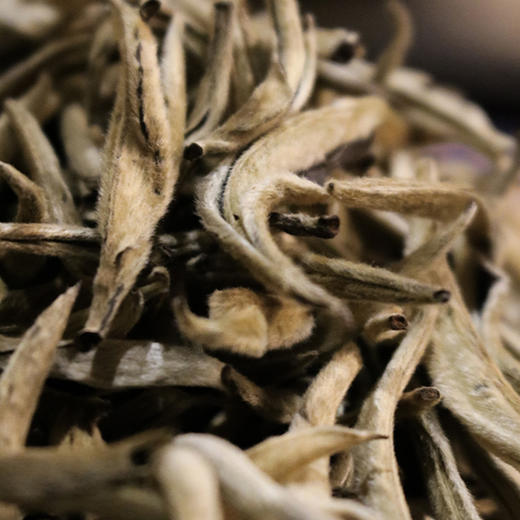 2022年白毫银针单芽白茶散茶罐装（净含量：120克） 商品图3