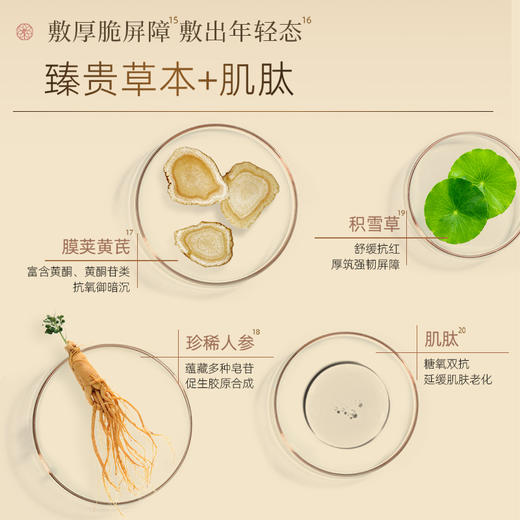 【官方正品】云南白药采之汲球药隔重楼奢养精华面膜50g屏障修复淡纹紧致三七人参积雪草药植精萃 商品图5