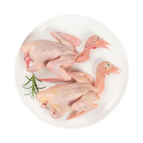 MM 山姆 冷鲜乳鸽 550g