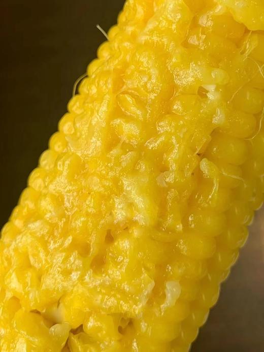 【包邮】丨2024年双十二秒杀-赞字村黄糯玉米丨8支/箱 真空裸袋实惠装45元/箱丨发货日期：12月14日起 商品图2