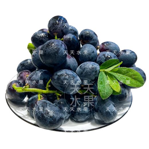 黑加仑 秋黑葡萄   好甜 商品图0