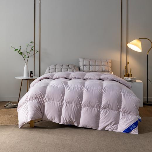 【远梦】辉煌腾达羽绒被 商品图0