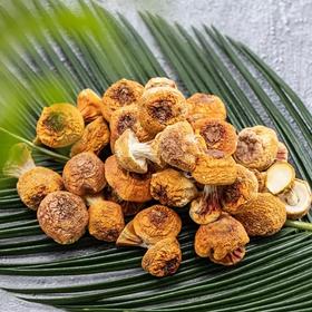 姬松茸怎么吃？