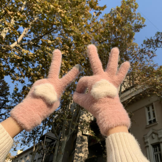 秋冬加绒保暖触屏手套甜美少女韩版可爱针织毛线分指骑行防寒学生 商品图0