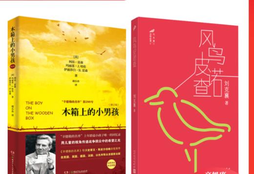 木箱上的小男孩    风鸟皮诺查   六年级高级班共读正版现货速发|名师推荐|小学生课外阅读6年级 商品图0