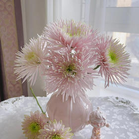 【粉色多头烟花菊.第二件减10元】5支/份 长约60-65cm