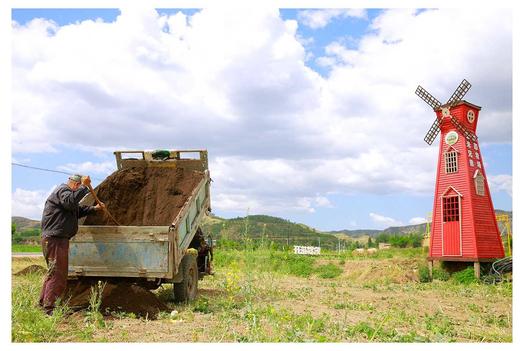 玉米兄弟®有机黑&黄糯玉米，拆袋开水煮15分钟即使，软糯香到极致。 商品图6
