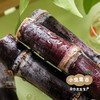 【限时买一赠一】有机紫皮甘蔗 4/4.5斤 | 合作农友生产，来自广东清远，生产者：乐心榛榛 *【公平贸易农人定价】 商品缩略图14