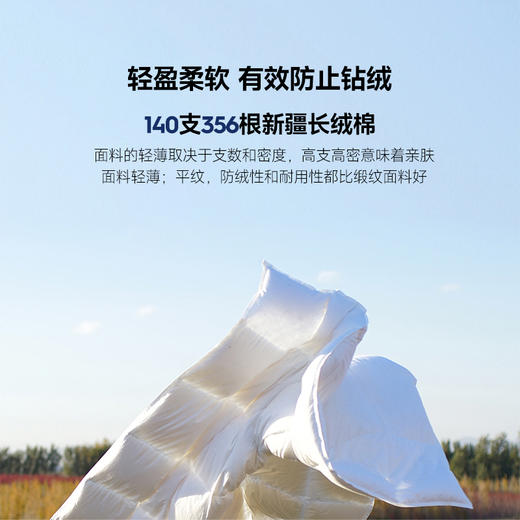 伽罗 JALO 140支800+蓬松度雁鸭绒被 商品图3