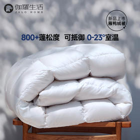 伽罗 JALO 140支800+蓬松度雁鸭绒被