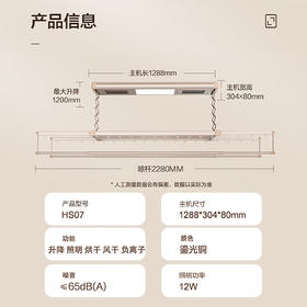 海尔（Haier）海尔智能晾衣机阳台多功能晾衣杆照明风干烘干负离子HS07鎏光铜 鎏光铜HS07 【风干烘干】