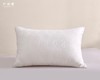 太湖雪 丝柔抗菌蚕丝枕头 抱枕靠垫 商品缩略图2