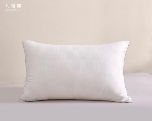 太湖雪 丝柔抗菌蚕丝枕头 抱枕靠垫 商品图2