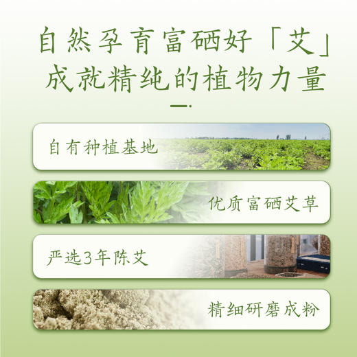 艾修宁草本艾敷灸养贴 商品图4