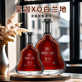 法国进口皇迦XO白兰地1L-3L