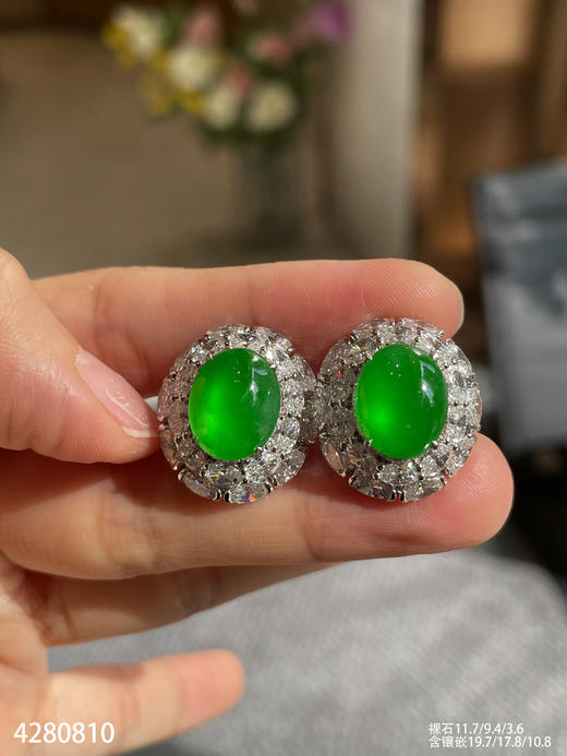 老坑玻璃种艳绿蛋面耳钉【4280810】具体价格微信咨询 商品图5