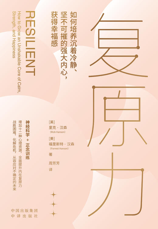 复原力：增加十二种心理资源，全面提升内在复原力 战胜困难，化解危机，从容应对不确定的未来 商品图2