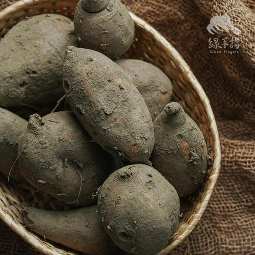 生态红薯（四川）| 合作生产*Ecological sweet potato|Partner Production 商品图1