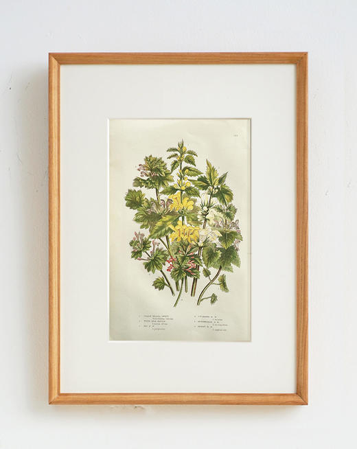 伽罗 JALO 欧洲原版铜版画（孤品合集）-下单后10天内发货 商品图3