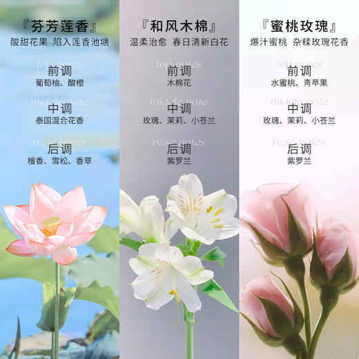 泰国芝芙莲内衣清洗液500ml 商品图1