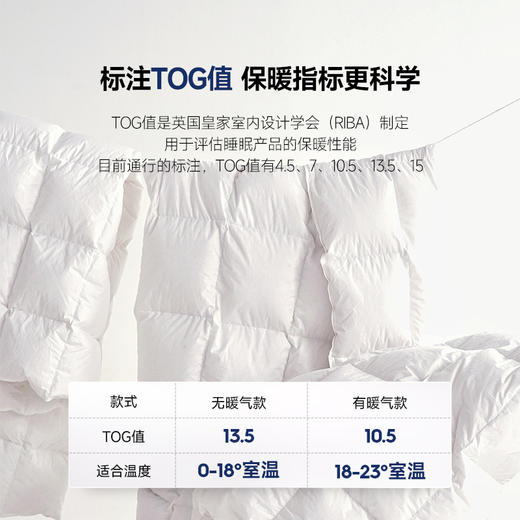 伽罗 JALO 140支800+蓬松度雁鸭绒被 商品图2