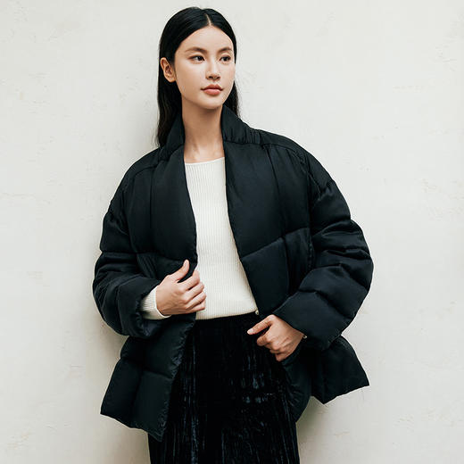 玳莎新中式立领鹅绒服女2024年冬季新款保暖磁吸扣设计感羽绒服  ED41302 商品图0