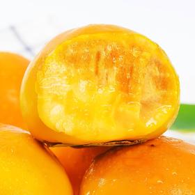 甜果源源 阳丰脆柿子