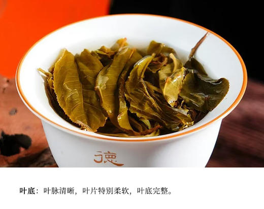 生普 | 德丰昌 2024年 巅峰 ·倚邦之巅 生茶 100g/饼 商品图4