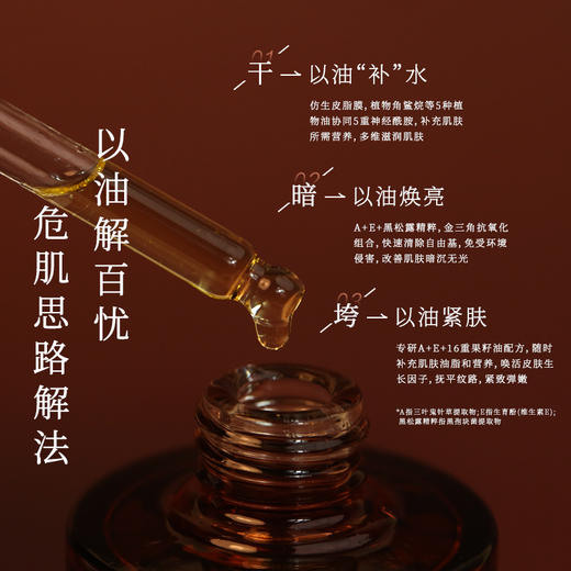 植想说腊菊紧致抗皱保湿精华油淡纹滋润植物纯素【答摩专属】 商品图1