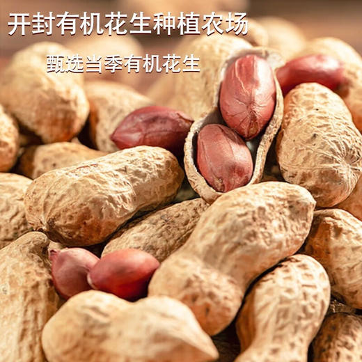 【冷榨香】大士有机花生油 脱衣白仁物理冷榨食用油炒菜植物油500ml/2.5L 商品图4