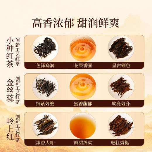 元正 小种红茶金丝蕊岭上红组合装 特级茶叶罐装150g 商品图3