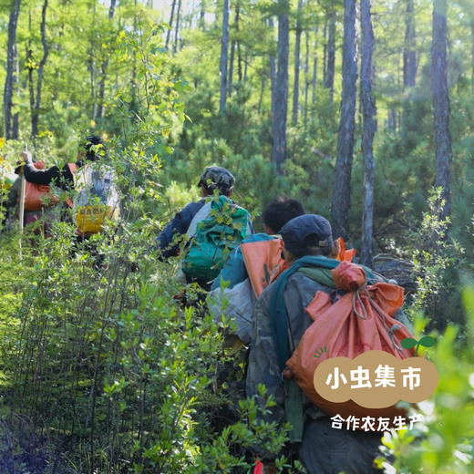 森林野生榛子仁 200g| 合作农友生产，源自大兴安岭原始森林，生产者：金鹏 ＆【公平贸易农人定价】 商品图9