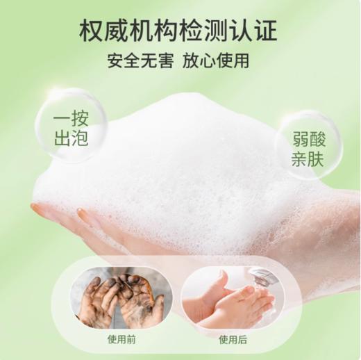 【刮码发货】SukGarden蔬果园茶香泡泡洗手液（清新滋润型） 500ml 商品图3