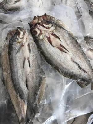 冰鲜刁子鱼700g±50g（京东物流） 商品图1