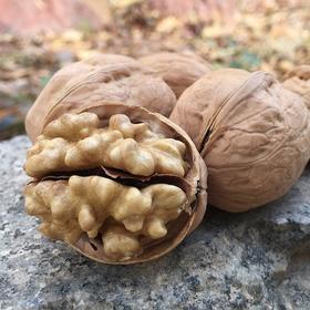 【自营】新疆阿克苏185纸皮核桃500g*5袋