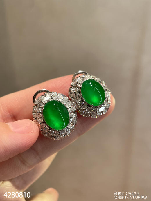 老坑玻璃种艳绿蛋面耳钉【4280810】具体价格微信咨询 商品图6