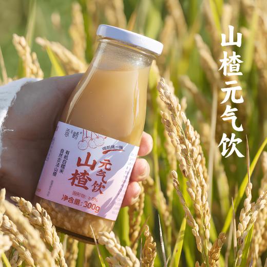【山楂元气饮】| 元和优选 满满醪糟营养 自然果香 自然农法山楂，有机白糯米 商品图0