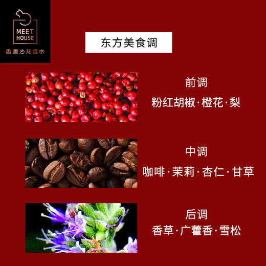 【美伊奖得主】香遇沙龙香香遇沙龙香禁忌之糖香水50ml 商品图2